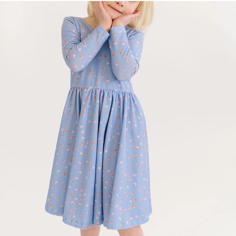 Alice + Ames Blue Ballet Twirl Dress with Pink and Orange Floral Pattern